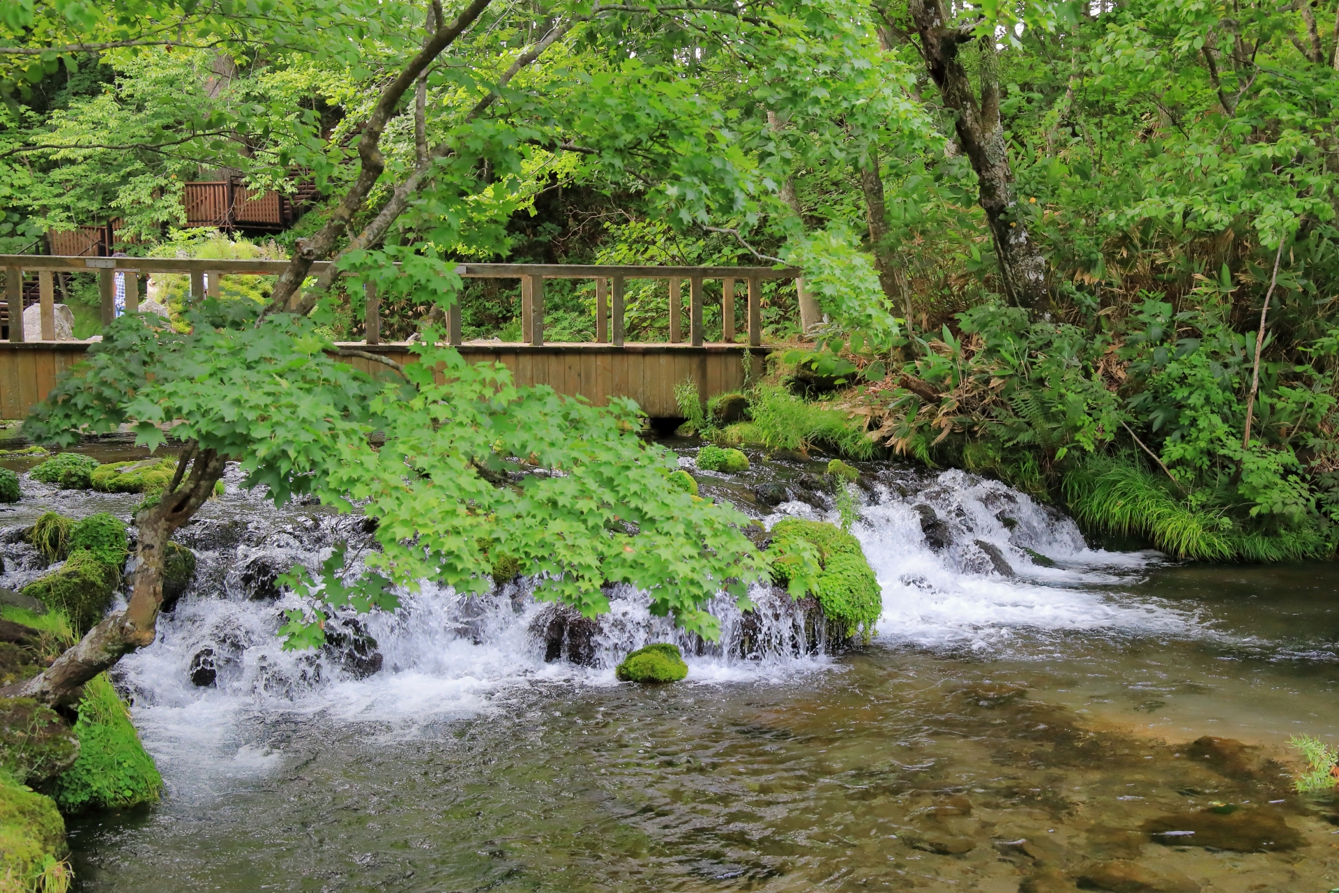 ふきだし公園