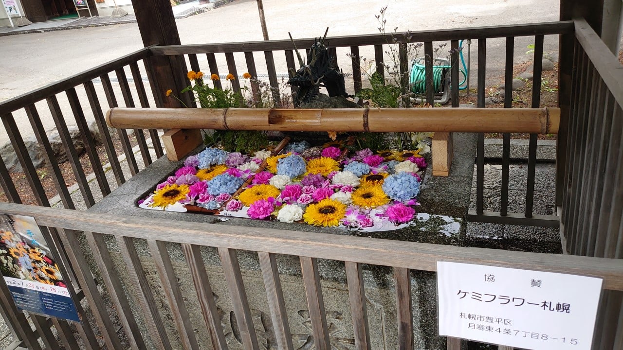 豊平神社の花手水