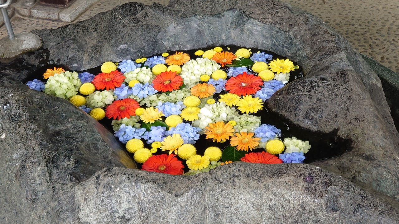 月寒神社の花手水