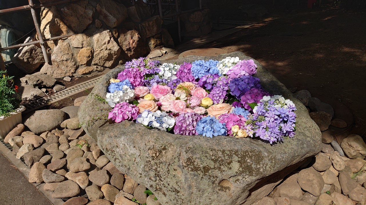 発寒神社の花手水