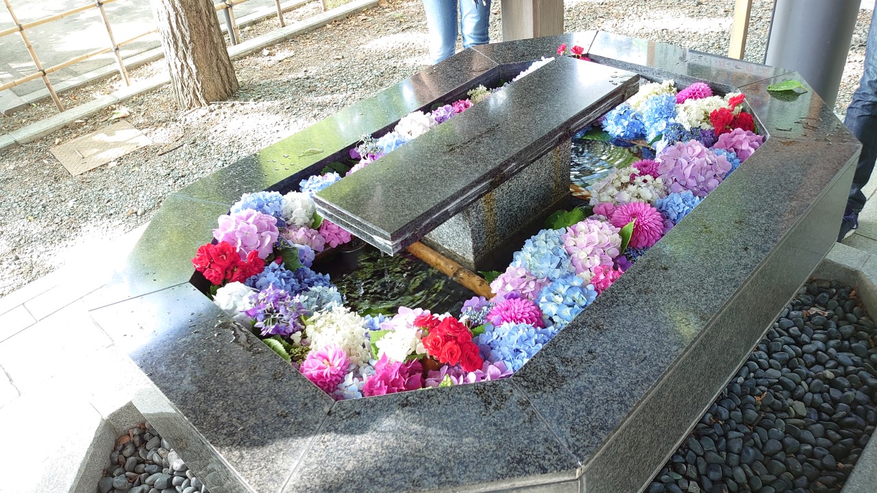 新琴似神社の花手水