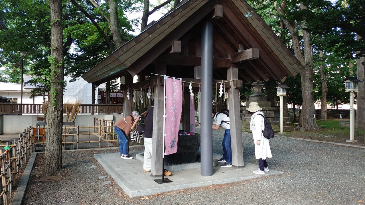 新琴似神社の花手水　引き