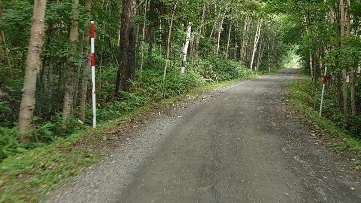 酷道の写真