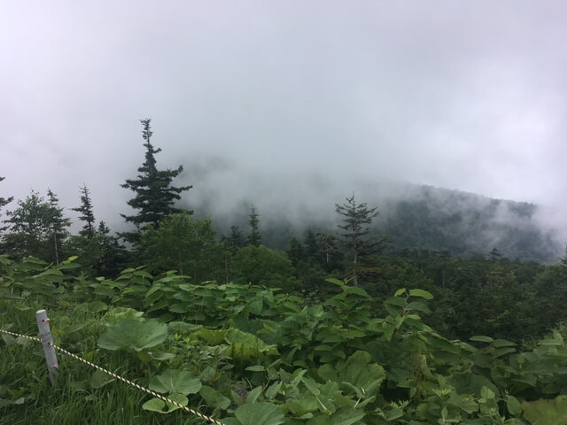 十勝岳温泉湯本凌雲閣からの眺め