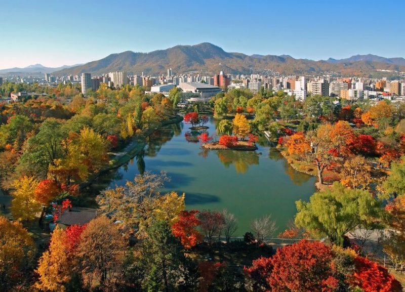 中島公園の紅葉写真