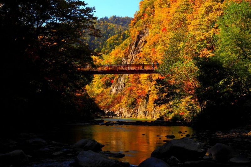 定山渓・二見吊橋の紅葉写真