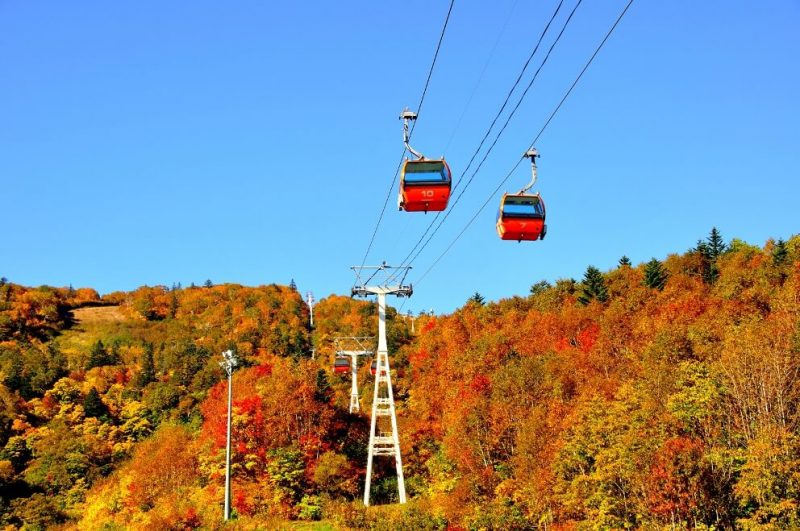 札幌国際スキー場の紅葉写真