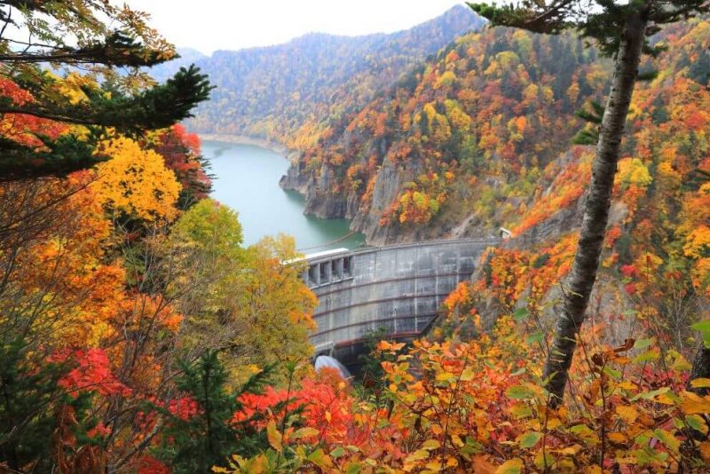 豊平峡ダムの紅葉写真