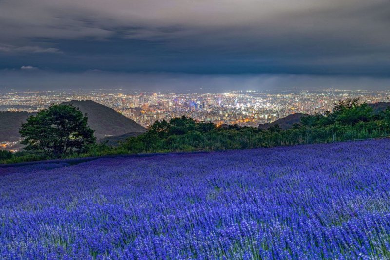 幌見峠から見る札幌の夜景