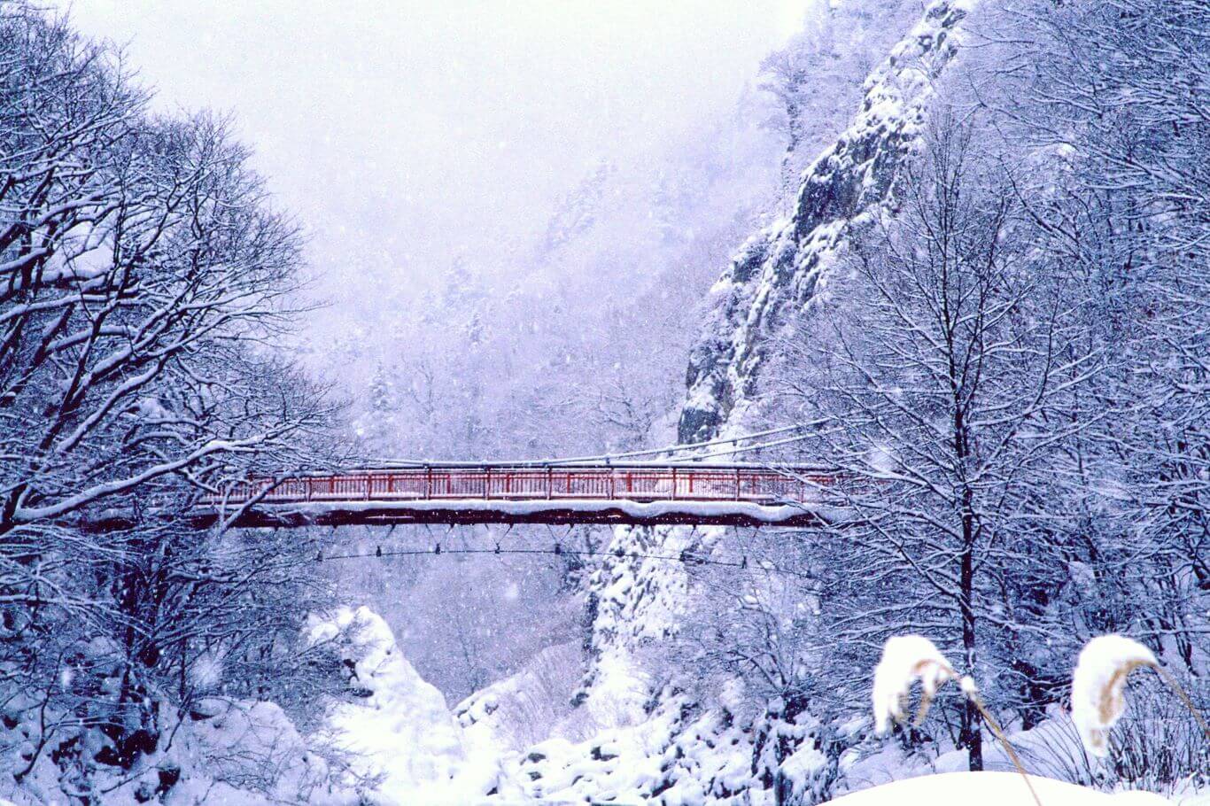 定山渓の冬の風景