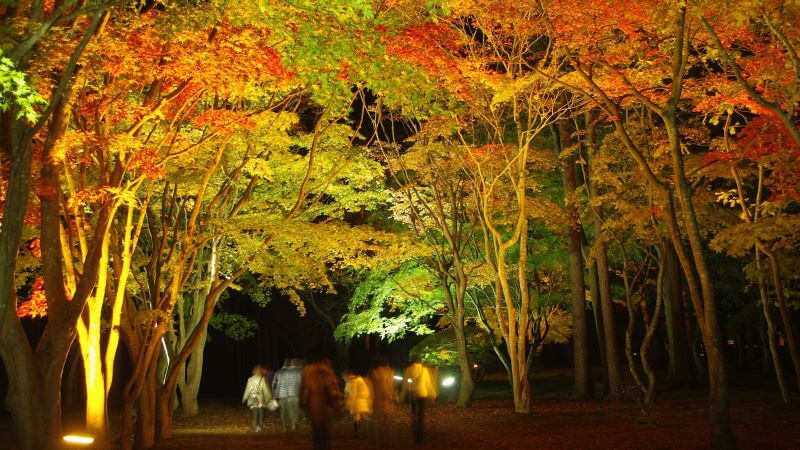 名勝旧岩船氏庭園（香雪園）