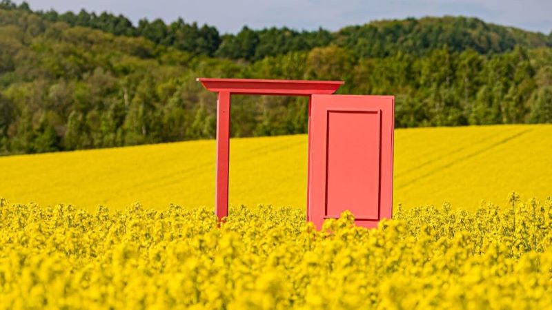 《安平町》菜の花畑・どこでもドア