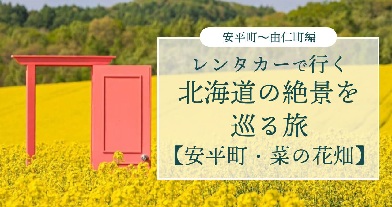 安平菜の花畑アイキャッチ