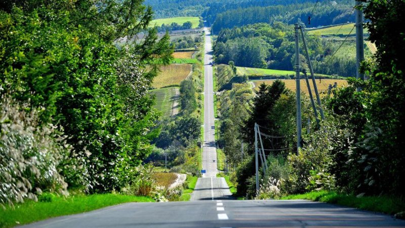 ジェットコースターの路の画像