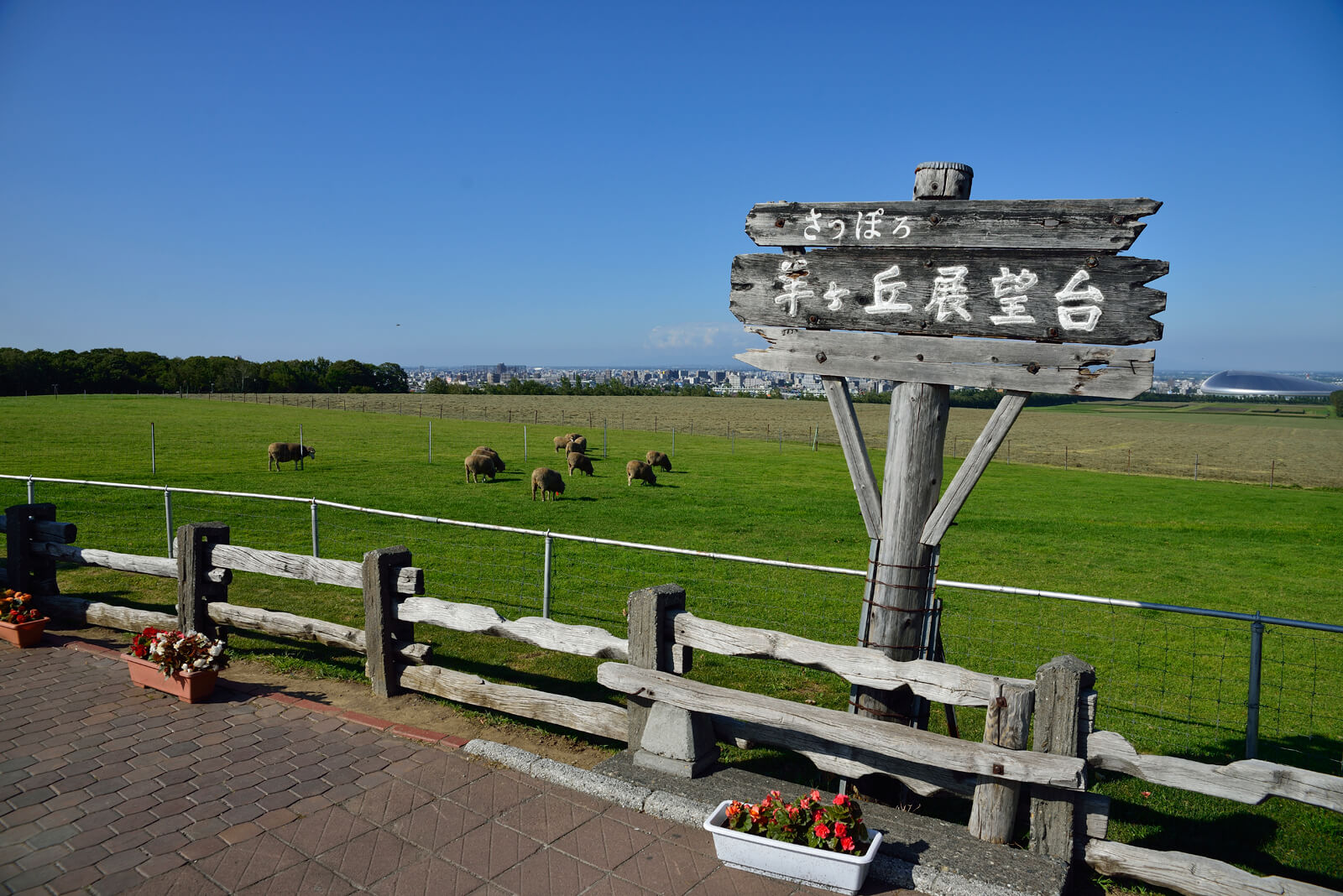 さっぽろ羊ヶ丘展望台