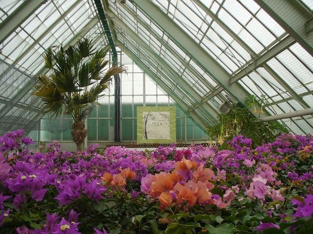 函館市熱帯植物園