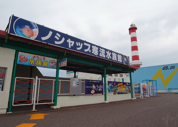 ノシャップ寒流水族館