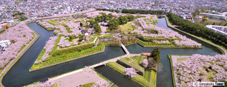 道南エリア