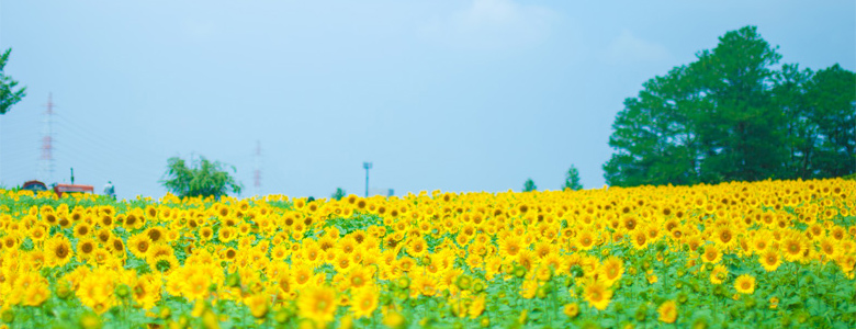 道北エリア